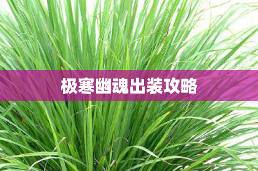 极寒幽魂出装攻略图片