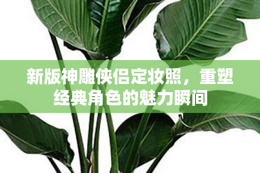 重塑经典角色的魅力瞬间图片