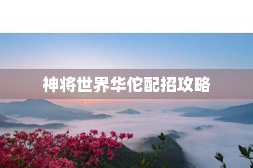 神将世界华佗配招攻略图片