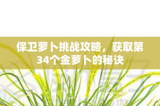 获取第34个金萝卜的秘诀图片