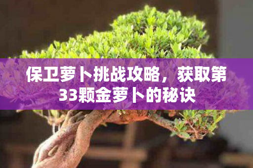 获取第33颗金萝卜的秘诀图片