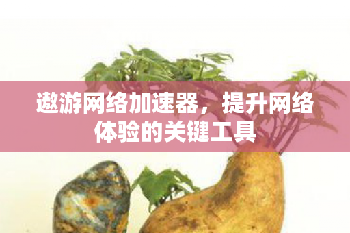 提升网络体验的关键工具图片