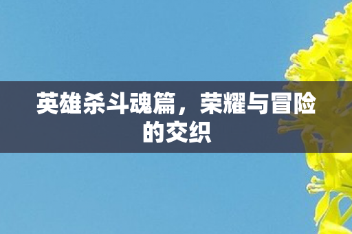 荣耀与冒险的交织图片
