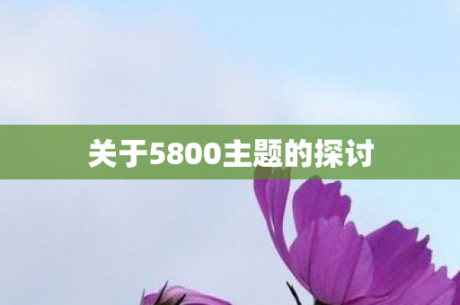关于5800主题的探讨图片