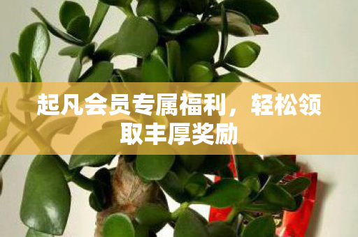 起凡会员专属福利图片