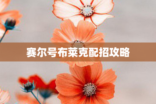 赛尔号布莱克配招攻略图片
