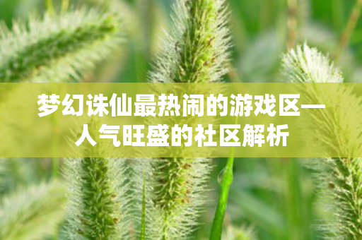 梦幻诛仙最热闹的游戏区图片
