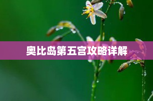 奥比岛第五宫攻略详解图片