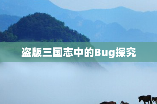盗版三国志中的Bug探究图片