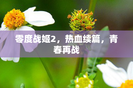 零度战姬2图片