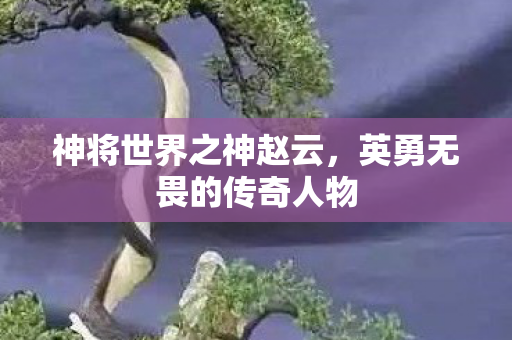 英勇无畏的传奇人物图片