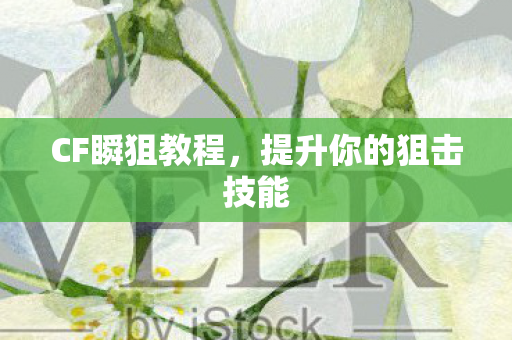 提升你的狙击技能图片