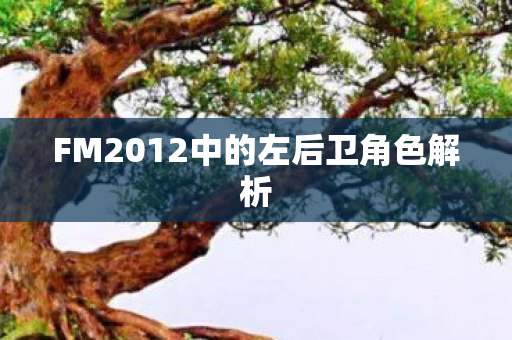 FM2012中的左后卫角色解析图片