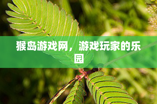 游戏玩家的乐园图片