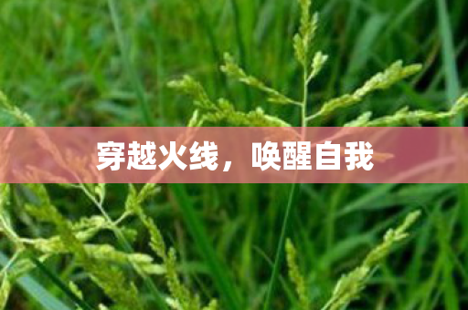穿越火线图片