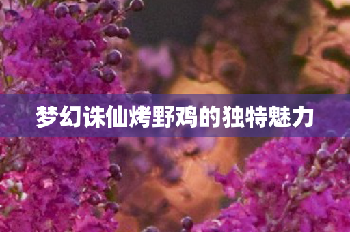 梦幻诛仙烤野鸡的独特魅力图片
