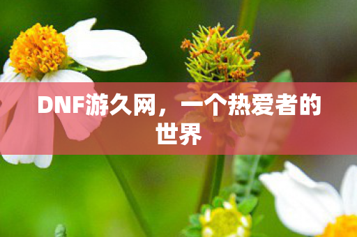 一个热爱者的世界图片