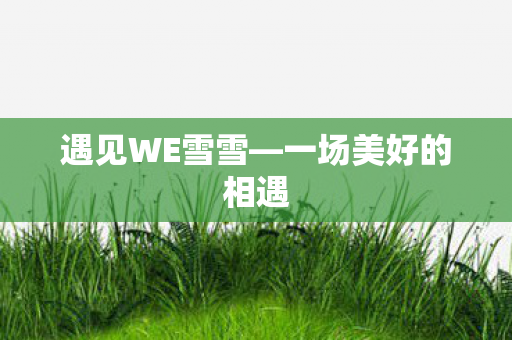 一场美好的相遇图片