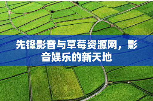 先锋影音与草莓资源网图片