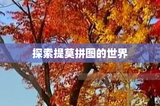 探索提莫拼图的世界图片