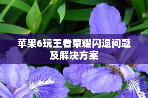 苹果6玩王者荣耀闪退问题及解决方案图片