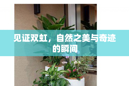 自然之美与奇迹的瞬间图片