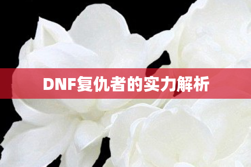 DNF复仇者的实力解析图片