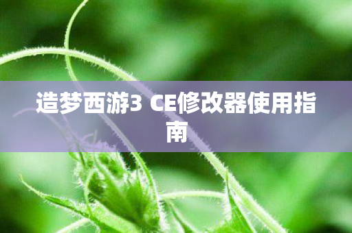造梦西游3 CE修改器使用指南图片