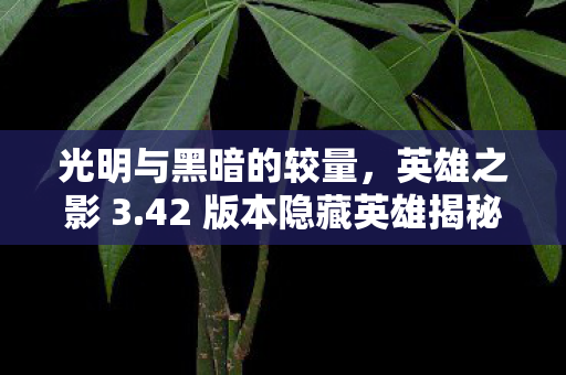 42 版本隐藏英雄揭秘图片