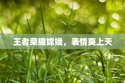 王者荣耀嫦娥图片