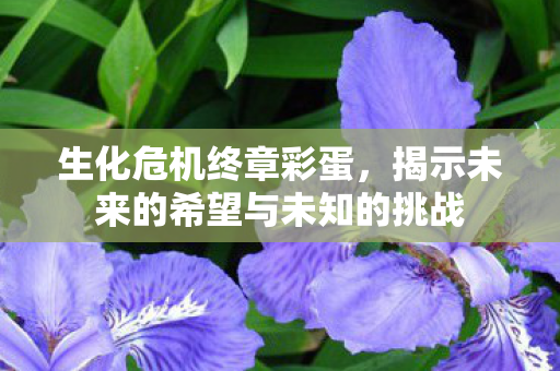 揭示未来的希望与未知的挑战图片