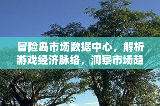冒险岛市场数据中心图片