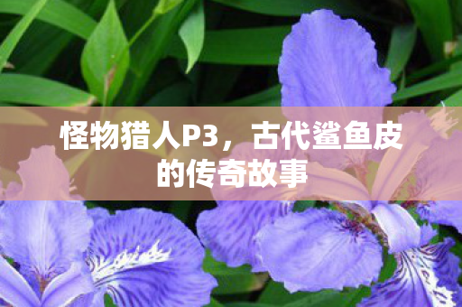 古代鲨鱼皮的传奇故事图片