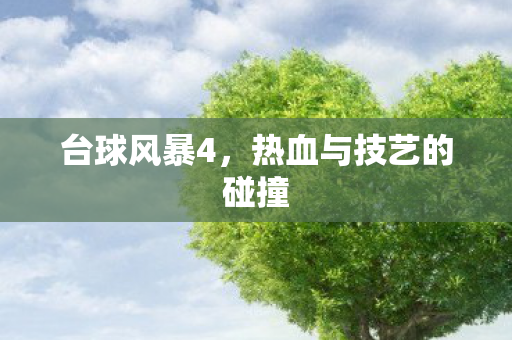 热血与技艺的碰撞图片