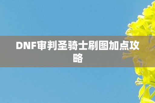 DNF审判圣骑士刷图加点攻略图片