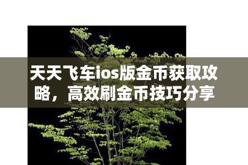 天天飞车ios版金币获取攻略图片