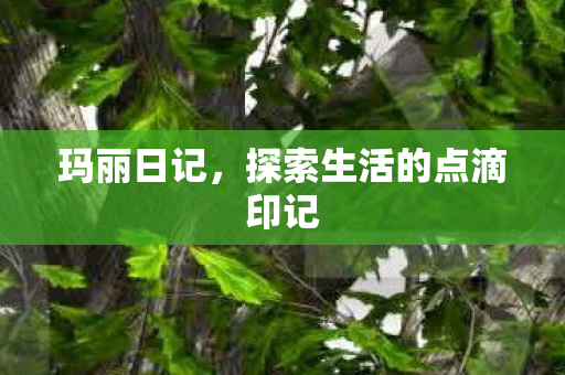 探索生活的点滴印记图片