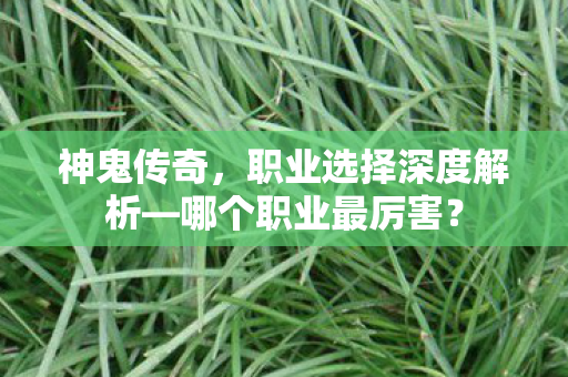 职业选择深度解析图片