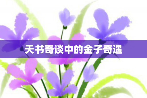 天书奇谈中的金子奇遇图片