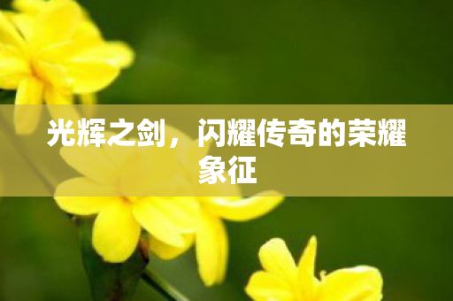 闪耀传奇的荣耀象征图片