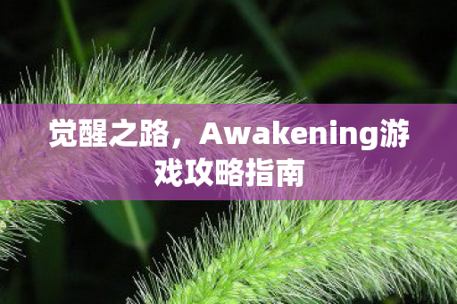 Awakening游戏攻略指南图片