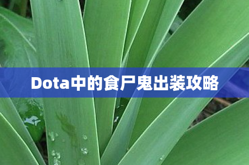 Dota中的食尸鬼出装攻略图片