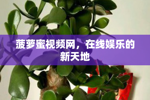 在线娱乐的新天地图片