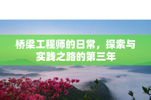探索与实践之路的第三年图片