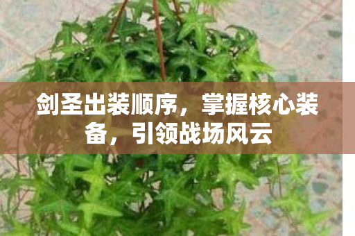 剑圣出装顺序图片