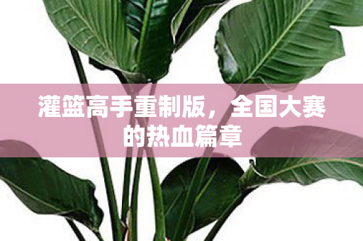 全国大赛的热血篇章图片
