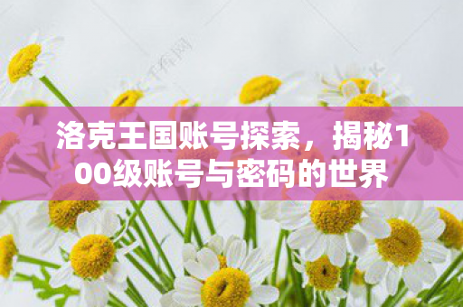 揭秘100级账号与密码的世界图片
