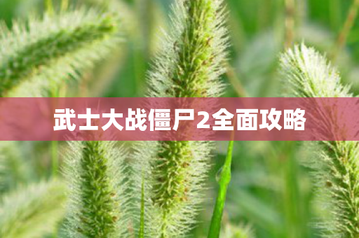 武士大战僵尸2全面攻略图片