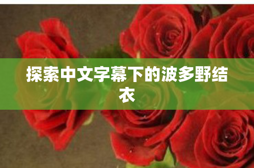 探索中文字幕下的波多野结衣图片