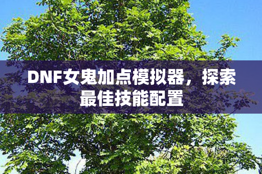 DNF女鬼加点模拟器图片